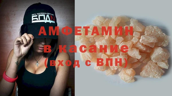 сатива Аркадак