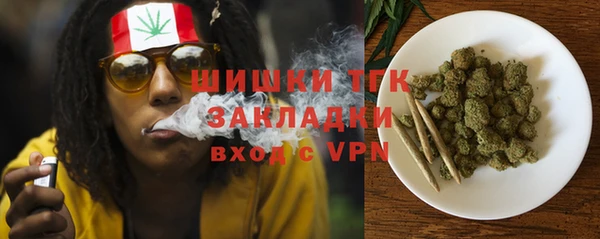 ПСИЛОЦИБИНОВЫЕ ГРИБЫ Алексеевка