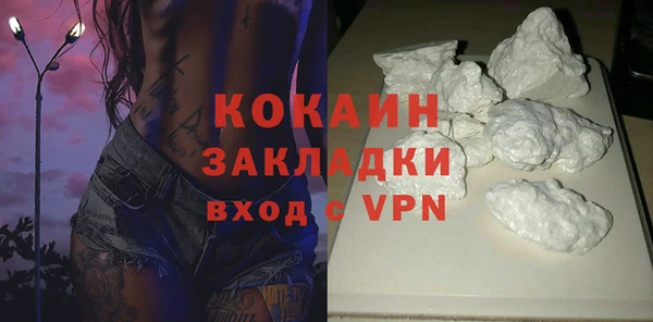 сатива Аркадак