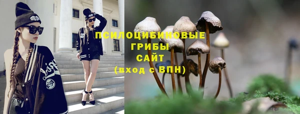 ПСИЛОЦИБИНОВЫЕ ГРИБЫ Алексеевка