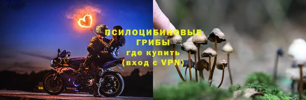 спиды Алзамай