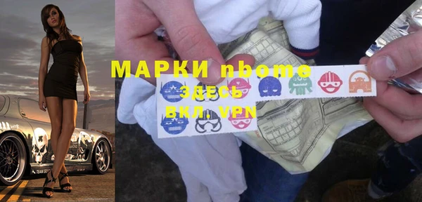 сатива Аркадак